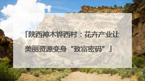 陕西神木铧西村：花卉产业让美丽资源变身“致富密码”