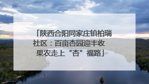 陕西合阳同家庄镇柏瑞社区：百亩杏园迎丰收 果农走上“杏”福路