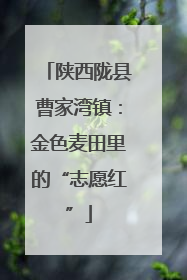 陕西陇县曹家湾镇：金色麦田里的“志愿红”