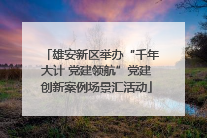 雄安新区举办“千年大计 党建领航”党建创新案例场景汇活动