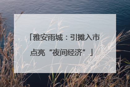 雅安雨城：引摊入市 点亮“夜间经济”