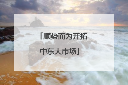 顺势而为开拓中东大市场