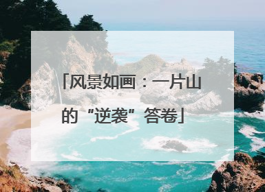 风景如画：一片山的“逆袭”答卷