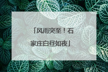 风雨突至！石家庄白昼如夜