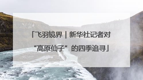 飞羽镜界｜新华社记者对“高原仙子”的四季追寻