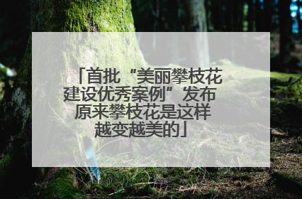 首批“美丽攀枝花建设优秀案例”发布 原来攀枝花是这样越变越美的