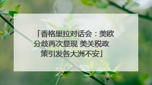 香格里拉对话会：美欧分歧再次显现 美关税政策引发各大洲不安