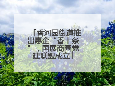 香河园街道推出惠企“香十条”，国展商圈党建联盟成立