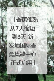 香蕉催熟从7天缩短到3天 新发地国际香蕉集散中心正式启用