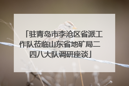 驻青岛市李沧区省派工作队莅临山东省地矿局二四八大队调研座谈