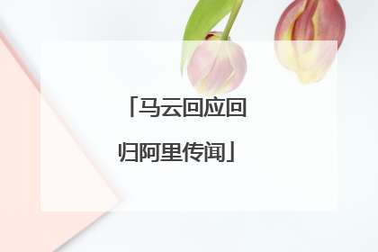 马云回应回归阿里传闻