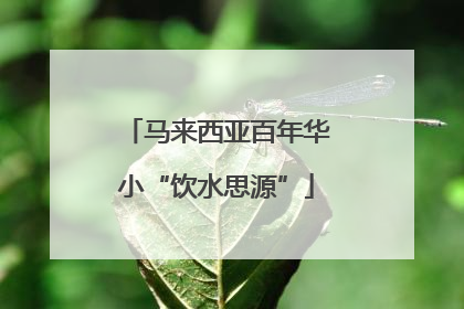 马来西亚百年华小“饮水思源”