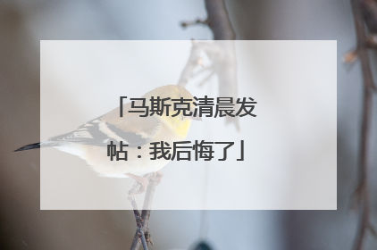 马斯克清晨发帖：我后悔了
