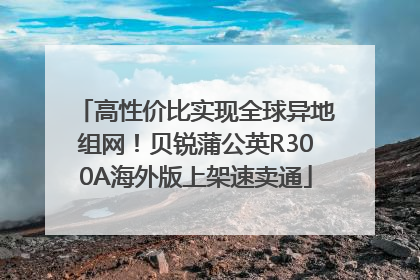 高性价比实现全球异地组网！贝锐蒲公英R300A海外版上架速卖通
