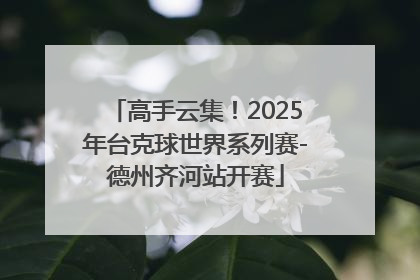 高手云集！2025年台克球世界系列赛-德州齐河站开赛