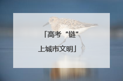 高考“链”上城市文明