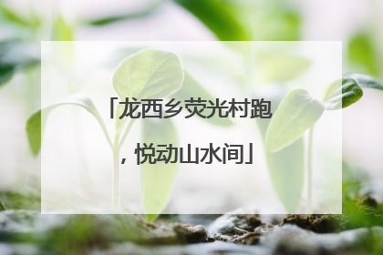 龙西乡荧光村跑，悦动山水间