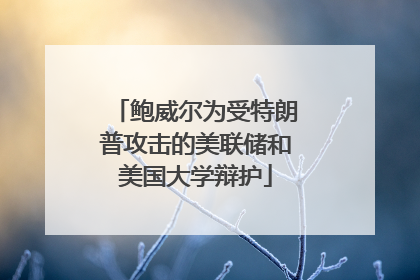 鲍威尔为受特朗普攻击的美联储和美国大学辩护