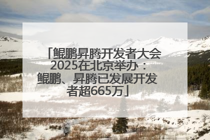 鲲鹏昇腾开发者大会2025在北京举办：鲲鹏、昇腾已发展开发者超665万