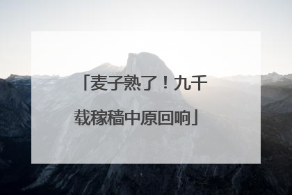 麦子熟了！九千载稼穑中原回响