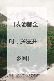 麦浪翻金时，送法进乡间