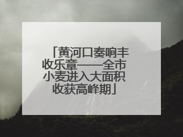 黄河口奏响丰收乐章——全市小麦进入大面积收获高峰期