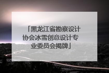 黑龙江省勘察设计协会冰雪创意设计专业委员会揭牌
