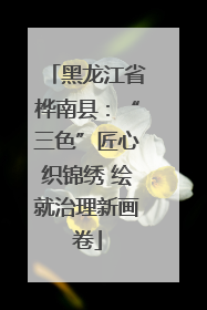 黑龙江省桦南县：“三色”匠心织锦绣 绘就治理新画卷