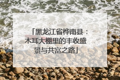 黑龙江省桦南县：木耳大棚里的丰收盛景与共富之路