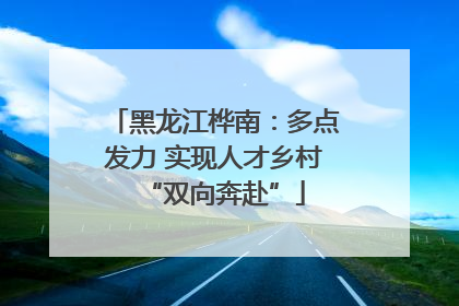 黑龙江桦南：多点发力 实现人才乡村“双向奔赴”