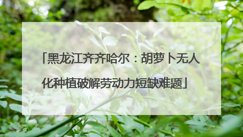 黑龙江齐齐哈尔：胡萝卜无人化种植破解劳动力短缺难题