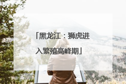 黑龙江：狮虎进入繁殖高峰期