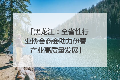 黑龙江：全省性行业协会商会助力伊春产业高质量发展