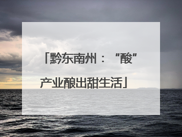 黔东南州：“酸”产业酿出甜生活