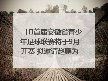 ﻿首届安徽省青少年足球联赛将于9月开赛 拟邀请赵鹏为先导赛开球