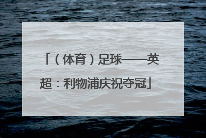 （体育）足球——英超：利物浦庆祝夺冠