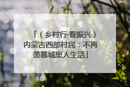 （乡村行·看振兴）内蒙古西部村民：不再羡慕城里人生活