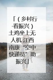 （乡村行·看振兴）土鸡坐上无人机 江西南康“空中快递员”助振兴