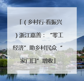 （乡村行·看振兴）浙江嘉善：“零工经济”助乡村民众“家门口”增收
