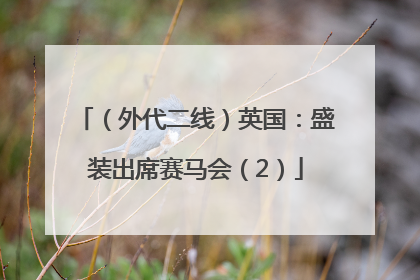 （外代二线）英国：盛装出席赛马会（2）