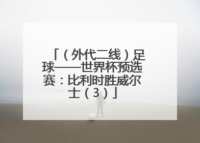 （外代二线）足球——世界杯预选赛：比利时胜威尔士（3）