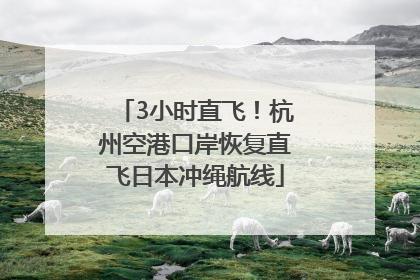 3小时直飞！杭州空港口岸恢复直飞日本冲绳航线