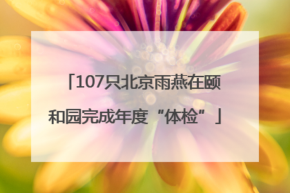 107只北京雨燕在颐和园完成年度“体检”