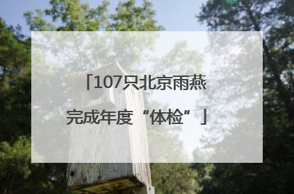 107只北京雨燕完成年度“体检”