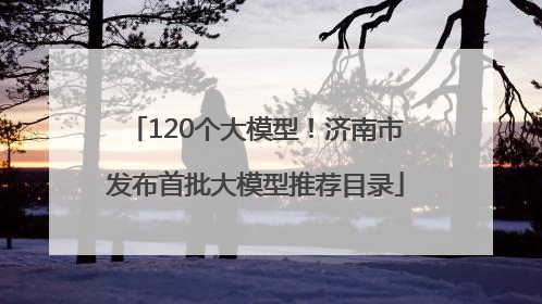 120个大模型！济南市发布首批大模型推荐目录