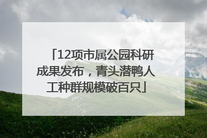 12项市属公园科研成果发布，青头潜鸭人工种群规模破百只