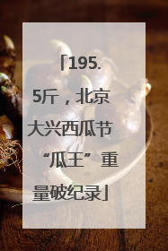195.5斤，北京大兴西瓜节“瓜王”重量破纪录