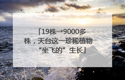 19株→9000多株，天台这一珍稀植物“坐飞的”生长