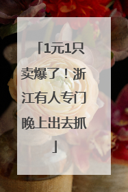 1元1只卖爆了！浙江有人专门晚上出去抓