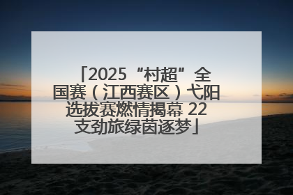 2025“村超”全国赛（江西赛区）弋阳选拔赛燃情揭幕 22支劲旅绿茵逐梦